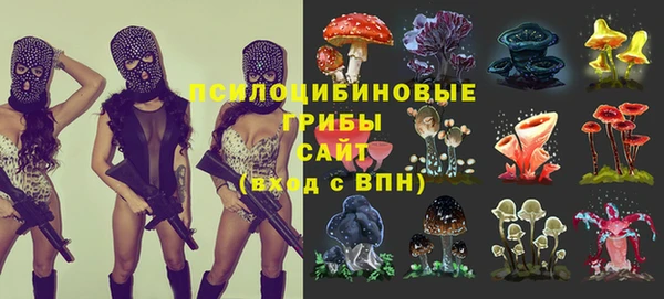 индика Богданович