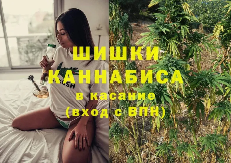 гидра зеркало  Лянтор  Каннабис White Widow 